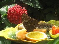 IMG 0639 (2)